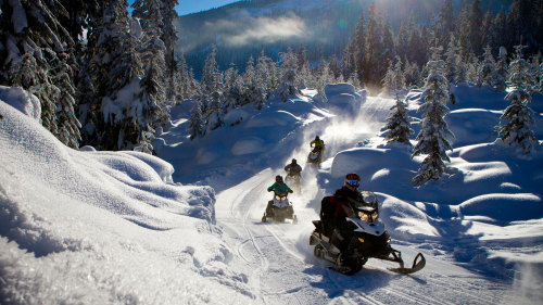 Cruiser Snowmobile Adventure