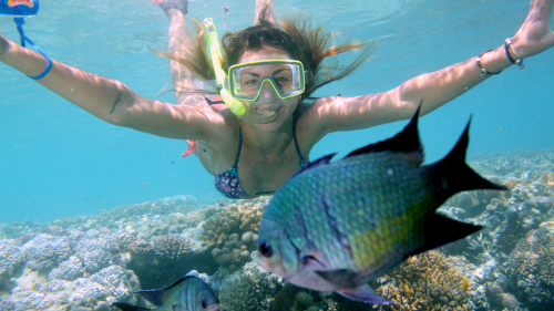 Great Barrier Reef Day Cruise to Reefworld