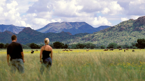 GocheGanas Nature Reserve Half-Day Tour with Lunch