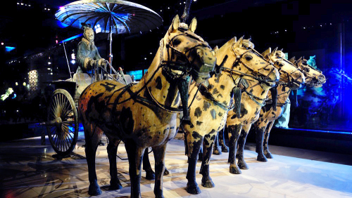 Terracotta Warriors Army & Horses Day Tour