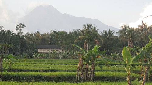 Mount Merapi Private Bicycle Tour & Prambanan Visit