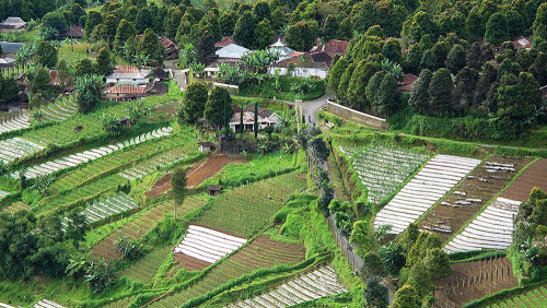 Private Cycling Tour of Ratu Boko with Lunch