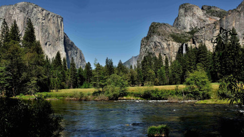 Yosemite in a Day by Gray Line San Francisco