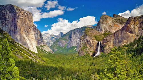 Small-Group Natural Wonders of Yosemite Tour by EverGreen Escapes