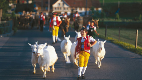 Swiss Traditions – Appenzell Region Tour by Best of Switzerland