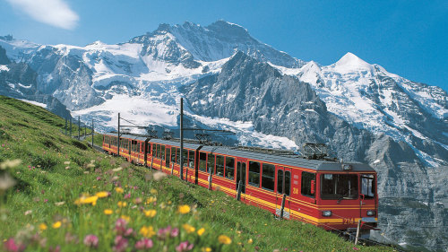 Jungfraujoch: Top of Europe Day Trip by Gray Line Zurich